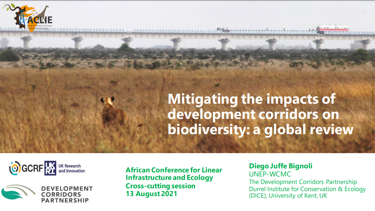 Mitigating the impacts of development corridors on biodiversity: a global review (ACLIE Presentation)