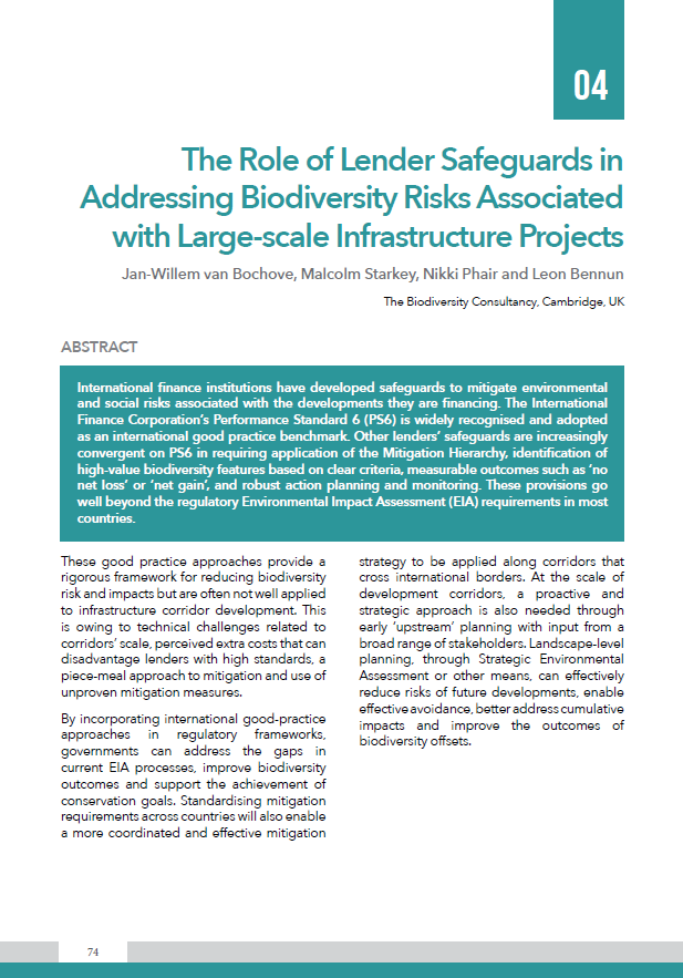 The Role of Lender Safeguards in Addressing Biodiversity Risks Associated with Large-scale Infrastructure Projects
