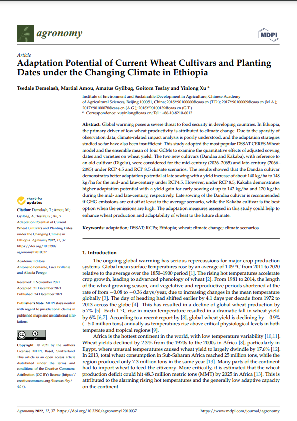 Adaptation Potential of Current Wheat Cultivars and Planting Dates under the Changing Climate in Ethiopia